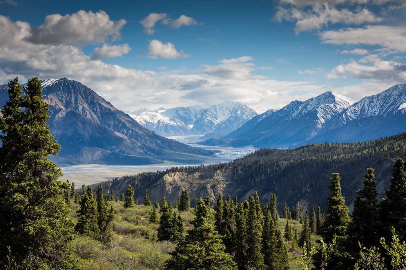 Wide mountain valley with snowy peaks and evergreen forest
